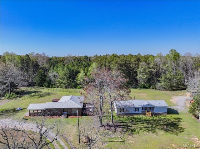 16598 Lock 17, Brookwood, AL 35444