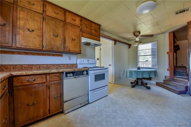 16598 Lock 17, Brookwood, AL 35444