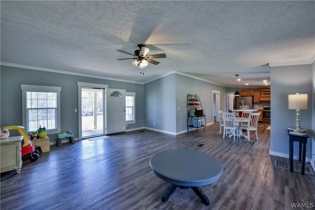 16598 Lock 17, Brookwood, AL 35444