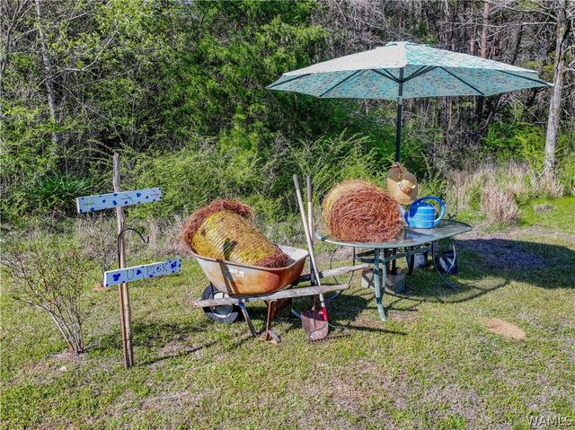 16598 Lock 17, Brookwood, AL 35444