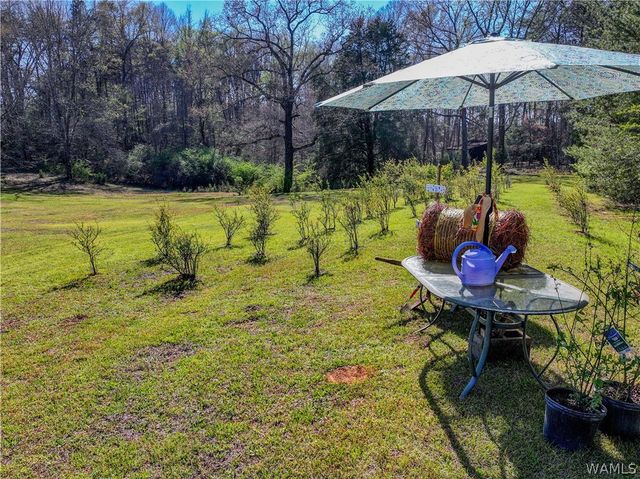 16598 Lock 17, Brookwood, AL 35444