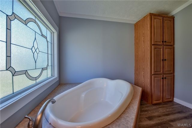 16598 Lock 17, Brookwood, AL 35444