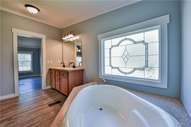 16598 Lock 17, Brookwood, AL 35444