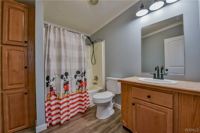 16598 Lock 17, Brookwood, AL 35444