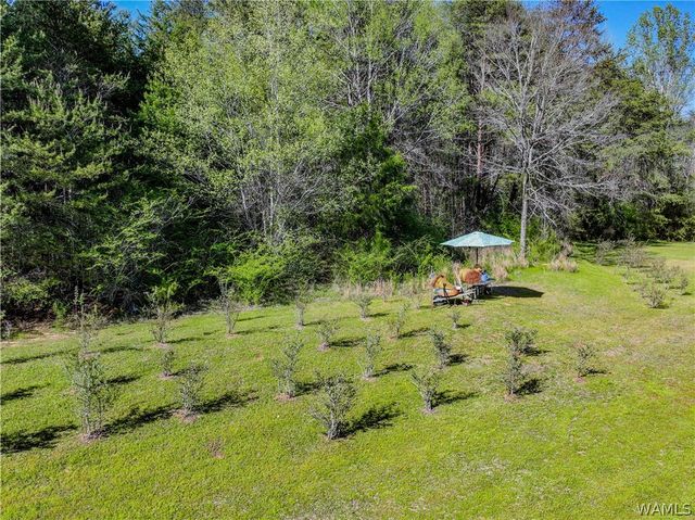 16598 Lock 17, Brookwood, AL 35444