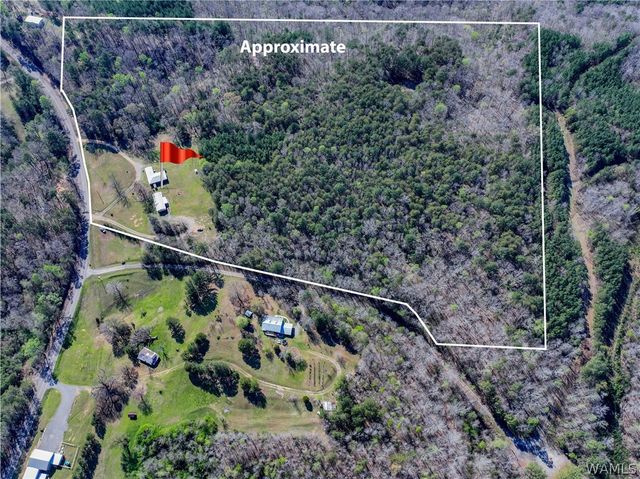 16598 Lock 17, Brookwood, AL 35444