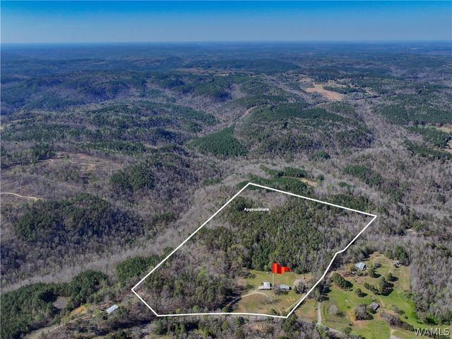 16598 Lock 17, Brookwood, AL 35444