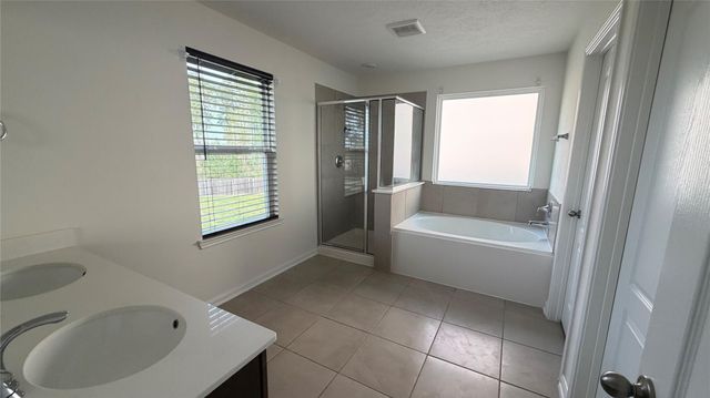 23438 Stahl Creeks Lane, Spring, TX 77373