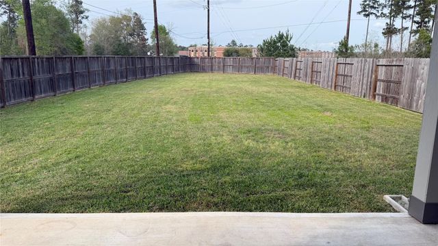 23438 Stahl Creeks Lane, Spring, TX 77373