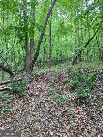 0 Crest View Drive, Dahlonega, GA 30533