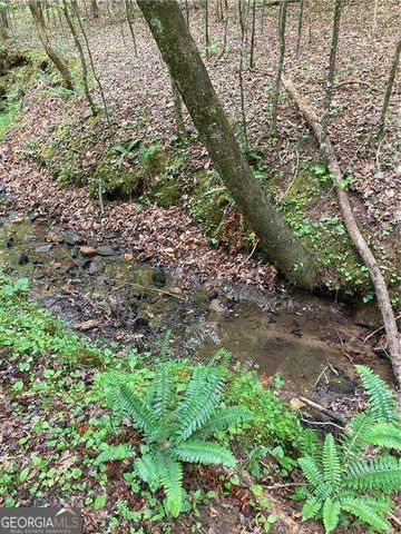 0 Crest View Drive, Dahlonega, GA 30533