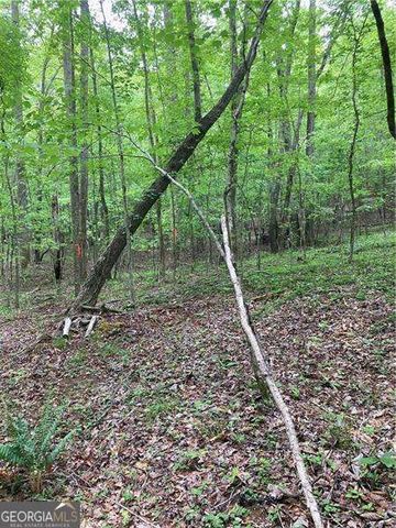 0 Crest View Drive, Dahlonega, GA 30533