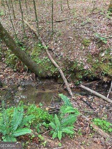 0 Crest View Drive, Dahlonega, GA 30533