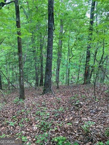 0 Crest View Drive, Dahlonega, GA 30533