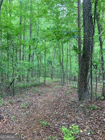 0 Crest View Drive, Dahlonega, GA 30533