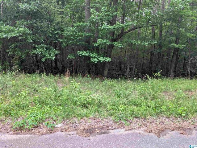 2920 STREETER DRIVE, Bessemer, AL 35023