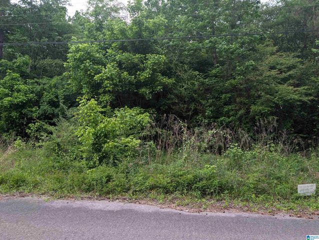 2920 STREETER DRIVE, Bessemer, AL 35023