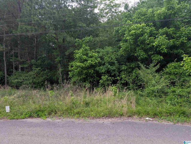 2920 STREETER DRIVE, Bessemer, AL 35023