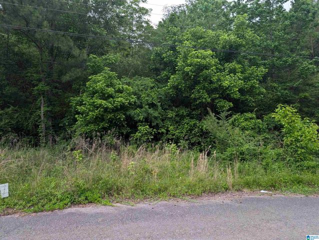 2920 STREETER DRIVE, Bessemer, AL 35023