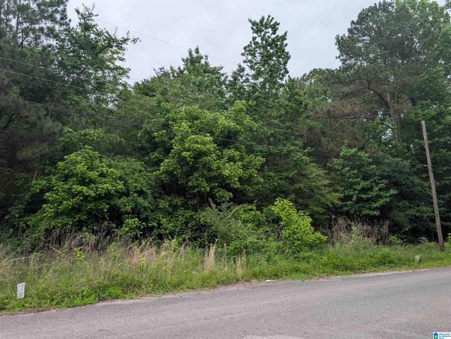 2920 STREETER DRIVE, Bessemer, AL 35023