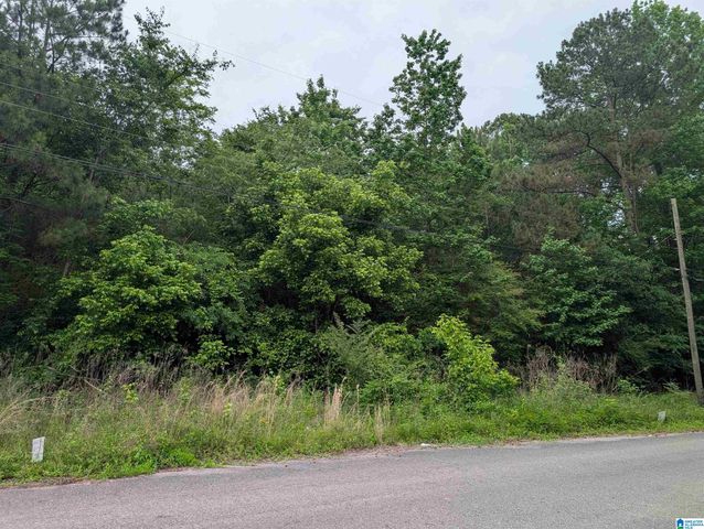 2920 STREETER DRIVE, Bessemer, AL 35023