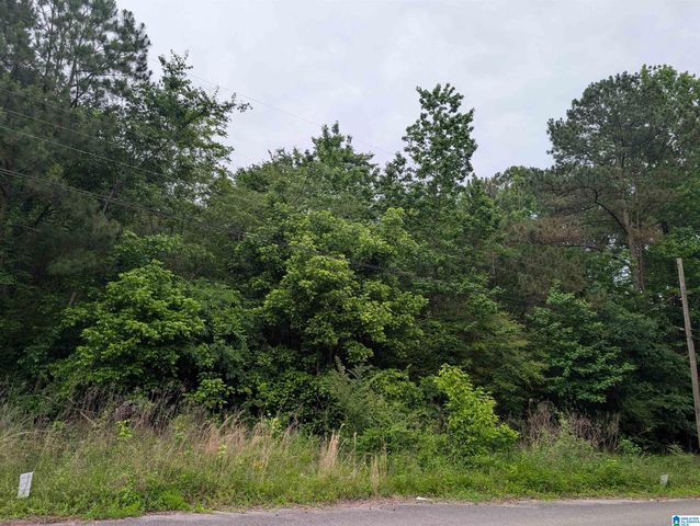 2920 STREETER DRIVE, Bessemer, AL 35023