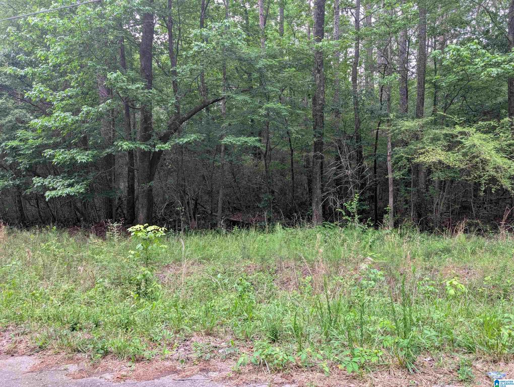 2920 STREETER DRIVE, Bessemer, AL 35023