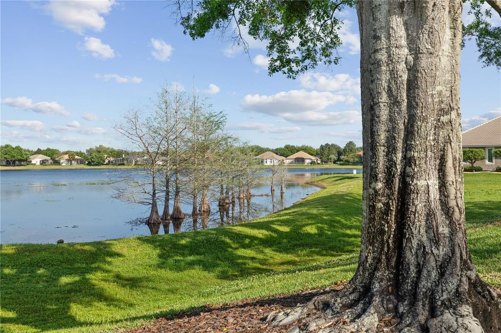 Image 74 of property listing at 968 PADDINGTON TERRACE, Lake Mary, FL 32746
