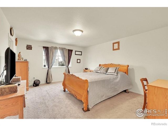 7266 Ocean Ridge Street, Wellington, CO 80549