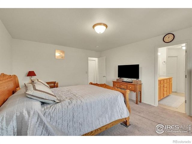 7266 Ocean Ridge Street, Wellington, CO 80549