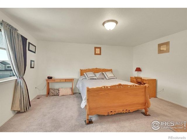 7266 Ocean Ridge Street, Wellington, CO 80549