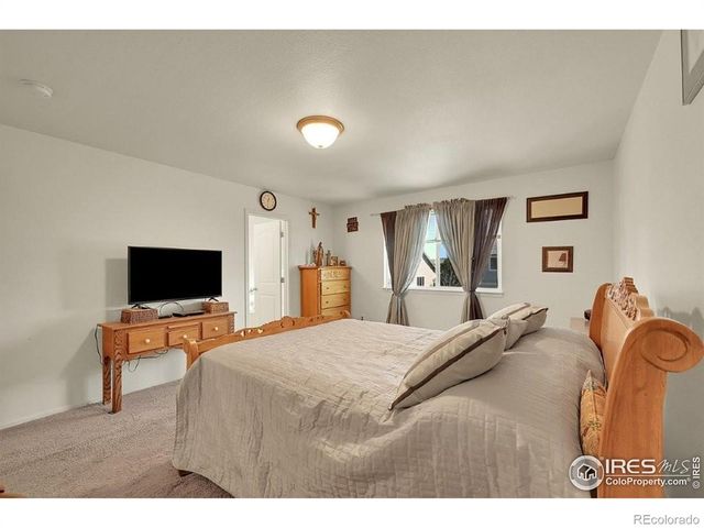 7266 Ocean Ridge Street, Wellington, CO 80549