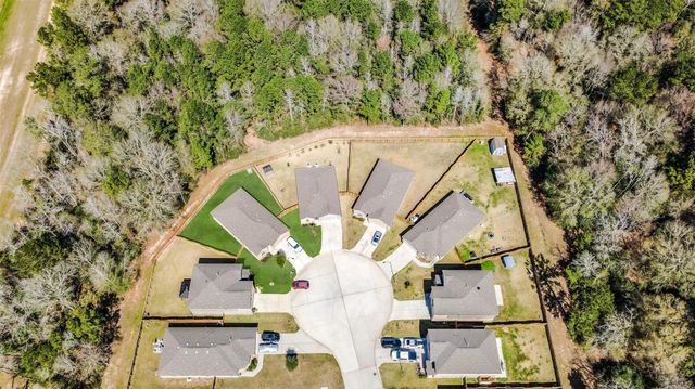 21343 Rachel Manor Drive, Hockley, TX 77447