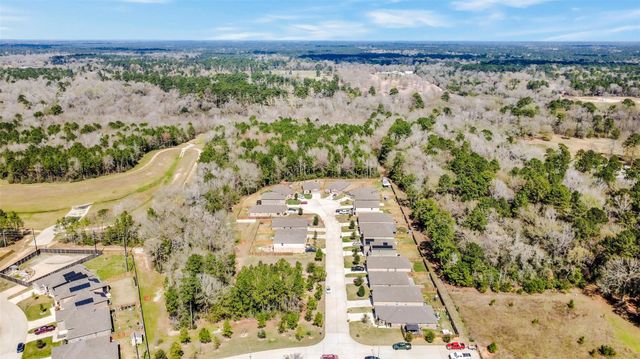 21343 Rachel Manor Drive, Hockley, TX 77447