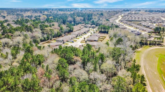 21343 Rachel Manor Drive, Hockley, TX 77447