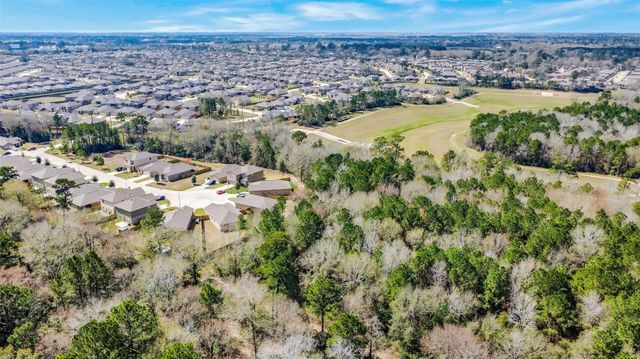 21343 Rachel Manor Drive, Hockley, TX 77447