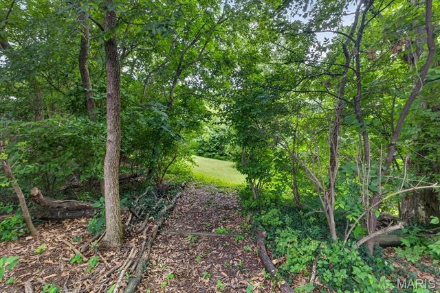 1438 Silverleaf Lane, St Louis, MO 63146