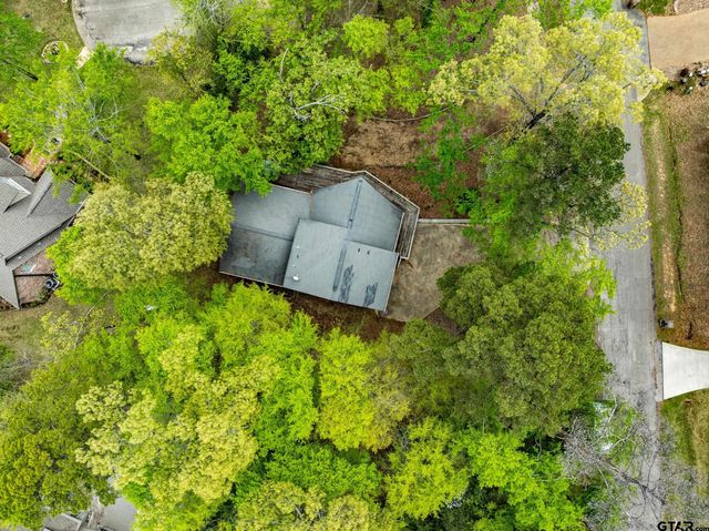 203 Lakewood Circle, Holly Lake Ranch, TX 75765