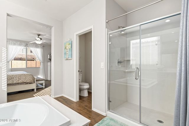 23108 E VIA DEL ORO --, Queen Creek, AZ 85142