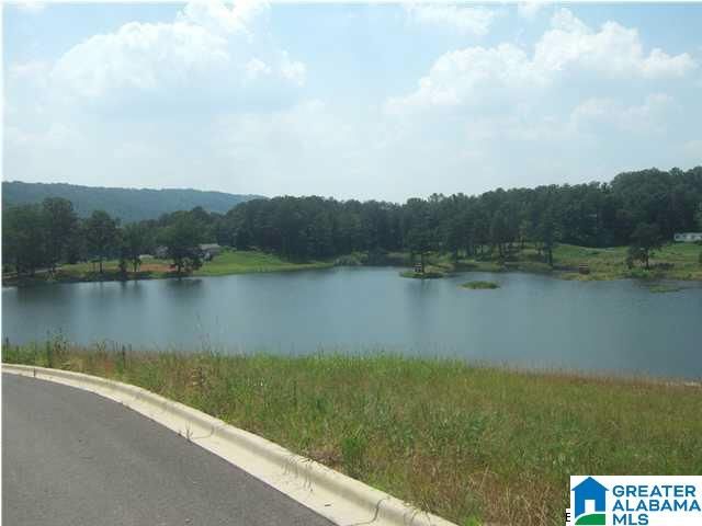 325 GRAY FOX ROAD, Springville, AL 35146