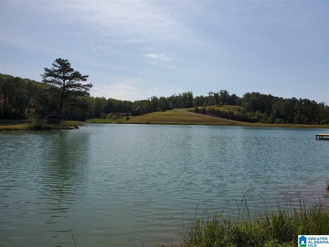 325 GRAY FOX ROAD, Springville, AL 35146