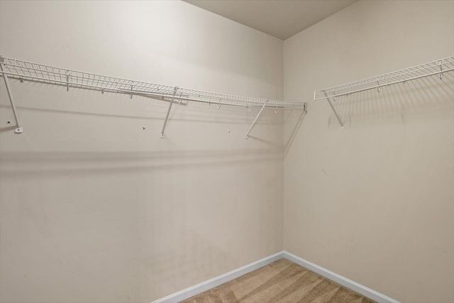 2435 Ferdinand Drive, Knightdale, NC 27545
