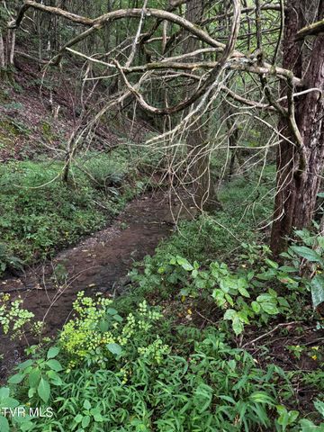 185 Union Road, Greeneville, TN 37745