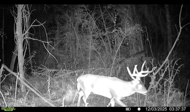 185 Union Road, Greeneville, TN 37745