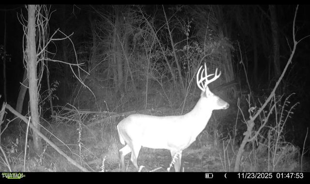 185 Union Road, Greeneville, TN 37745