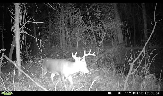 185 Union Road, Greeneville, TN 37745