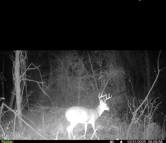 185 Union Road, Greeneville, TN 37745