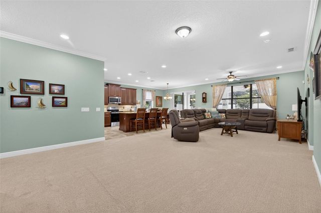 204 DAKOTA HILL DRIVE, Seffner, FL 33584