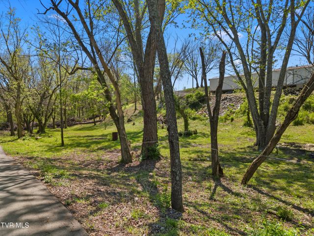 115 Melrose Avenue, Bulls Gap, TN 37711