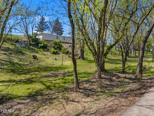 115 Melrose Avenue, Bulls Gap, TN 37711